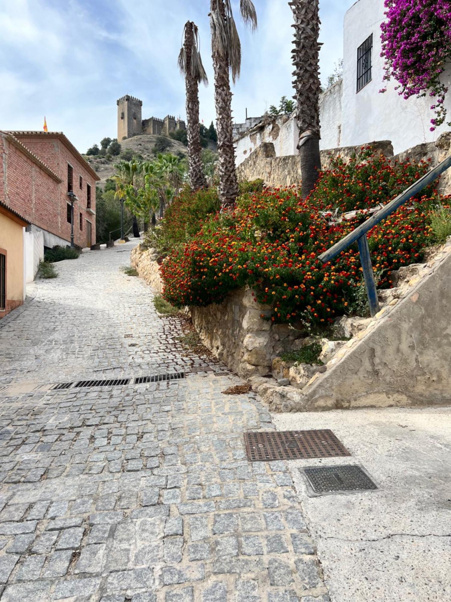 Alojamientos Claus Almodovar del Rio Bagian luar foto